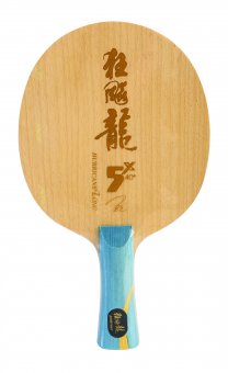 DHS Hurricane Long 5X inkl. Schlägerhülle 