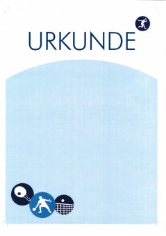 Urkunde TT Moves 